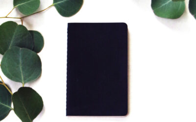 Feedback essentials: writing groups, beta readers, and professional editors
